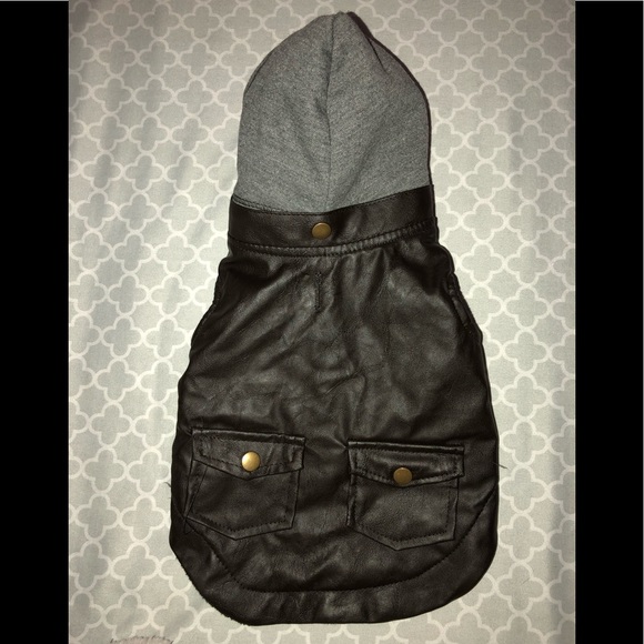 Top Paw Accessories - Dog Bomber Jacket